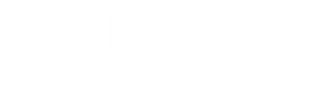 District23 logo